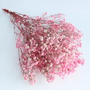 Top Quality Natural Real Touch Babysbreath Flowers Gypsophila Flower Floral Bouquets Arrangement Wedding Home Decor Fall