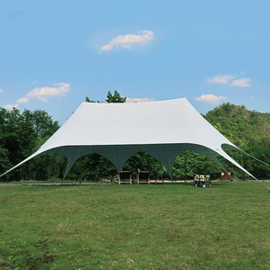 Outdoor Wedding <b>Tent</b> Star Marquee <b>Tent</b> Sports Events Advertising Stretch <b>Tent</b> - Product Image 3