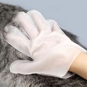 Gants de nettoyage jetables sans rinçage pour animaux de compagnie, lingettes nettoyantes sèches pour chats, gants désodorisants, fournitures de toilettage pour chiens - Product Image 2