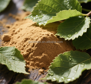 2025 meilleur vendeur UE <span class=keywords><strong>roman</strong></span> alimentaire conforme 1-DNJ 10% <span class=keywords><strong>extrait</strong></span> <span class=keywords><strong>de</strong></span> feuille <span class=keywords><strong>de</strong></span> mûrier <span class=keywords><strong>de</strong></span> qualité alimentaire poudre bouteille tambour peut meilleur vendeur 2025 - Product Image 6