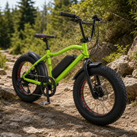 Vélo électrique à pneus larges de 20 pouces 48 V 250 W pour la vente en gros