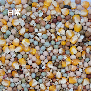 Nourriture pour oiseaux, prix <span class=keywords><strong>de</strong></span> gros, aliments pour pigeons secs et mixtes - Product Image 5