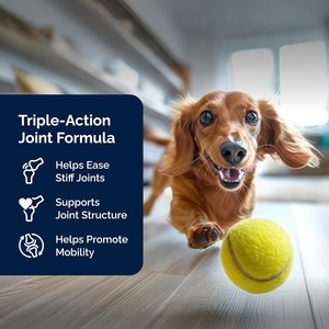 Complément alimentaire pour chiens en forme de friandises molles multi-collagène, marque privée OEM/ODM, avec collagène pour soutenir la santé des articulations et de la peau - Product Image 3