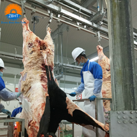 Équipement d'abattage automatique de bovins halal à vendre