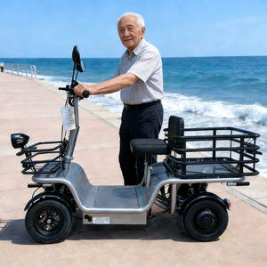 Scooter électrique 48V 250W avec moteur à engrenages pour <span class=keywords><strong>campus</strong></span> et parcs, grande capacité de chargement, avec panier de rangement arrière - Product Image 4