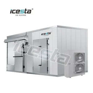 Customized cold storage industrial freezer refrigeration 125HP 225HP condensing unit 20ft industrial cold room for fish