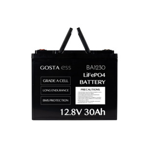 GOSTA BA1230 30AH triciclo per autovetture Cargo turistico turismo trasporto veicolo sostituzione batteria di alimentazione - Product Image 1