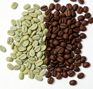 Grains <span class=keywords><strong>de</strong></span> <span class=keywords><strong>café</strong></span> Robusta aromatiques <span class=keywords><strong>de</strong></span> haute qualité, grade premium, pour la vente en gros <span class=keywords><strong>au</strong></span> <span class=keywords><strong>meilleur</strong></span> prix, Yunnan Chine - Product Image 6