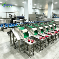 Shepody Automatische Kip Kippenpoot Kalkoen Sorteermachine voor gewicht en sortering van avocado's, tomaten, appels, fruit en groenten