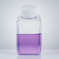 Bouteille de culture cellulaire stérile en plastique PET de 500 ml, flacon de réactif de laboratoire pour le stockage de milieux de culture de sérum, OEM ODM