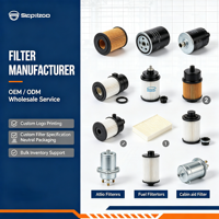 Penjualan Langsung Dari Pabrik Sumber untuk Filter Bahan Bakar Model PEAGEUT 1001CAA14881N 6790910090 6790910240 679091024