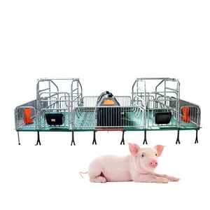 Yüksek kaliteli domuz Farrowing tezgahları domuz doğum yatak fabrika fiyat