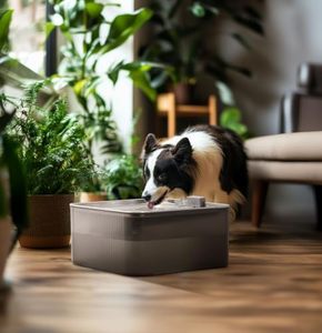 1.8 gal/236oz/7L fontaines <span class=keywords><strong>à</strong></span> <span class=keywords><strong>eau</strong></span> ultra silencieuses en acier inoxydable ABS Kitty système de filtre <span class=keywords><strong>à</strong></span> 4 étages multi-chat/chien maison - Product Image 6