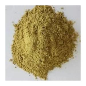 Hojas Naturales de Dhamasa Fagonia Arabica, Hierba Botánica para Mezclas Tradicionales a Base de Plantas, Preparaciones Herbales Naturales - Product Image 2