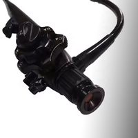 Caméra de gastroscope d'endoscope vidéo portatif d'instrument vétérinaire professionnel d'ANIMAL FAMILIER