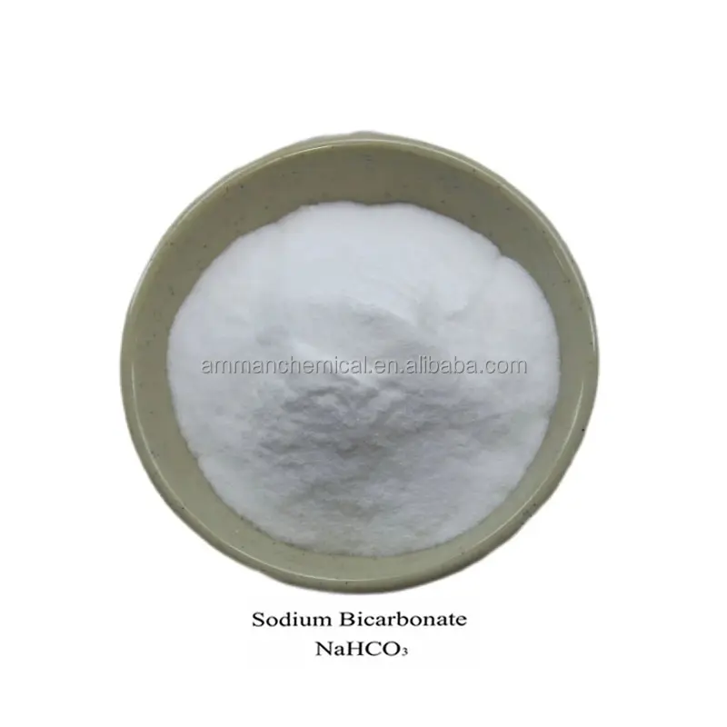 Prezzo di fabbrica offerta Nahco3 polvere di bicarbonato di sodio di migliore qualità in polvere schiacciato dal moderno Max Bag bianco con buon prezzo cina