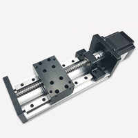 Module de glissière linéaire à vis à billes GX80 SFU1605-200mm, système d'actionneur linéaire, module de table coulissante, actionneur linéaire pour CNC