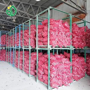 Trung Quốc tươi hành tây giá trong thấp (Đỏ hành tây/Vàng hành tây) Kích thước 4-7cm, 5-8cm, 8-12cm, đóng gói 10kg/20kg/25kg lưới túi - Product Image 5