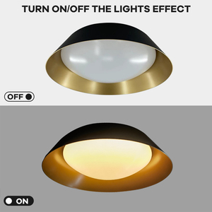 Lámpara de Techo LED Acrílica Moderna para Iluminación Interior de Pasillo, Entrada, Sala de Estar y Comedor - Product Image 3