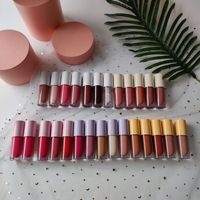 Gloss à lèvres hydratant mat effet minéral à base de plantes, 27 teintes, résistant à l'eau, et gloss à lèvres en tube épais, 5 teintes, très demandé
