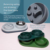 Bol double pour chien de voyage, mangeoire lente en silicone de qualité alimentaire et bol détachable en acier inoxydable, antidérapant facile à nettoyer personnalisé