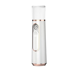 Портативный распылитель с двумя отверстиями для лица, USB-зарядка - Product Image 1