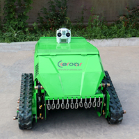 Piste de tondeuse robot personnalisée en usine Lames de marteau télécommandées Tondeuse à fléaux Rc à essence avec certification CE EPA