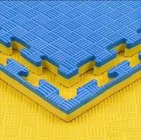 Tapis Tatami en EVA Écologique 60cm*60cm 100cm*100cm avec Services de Découpe et de Moulage, Épaisseur 1-4cm, Résistant à l'Usure et Antidérapant