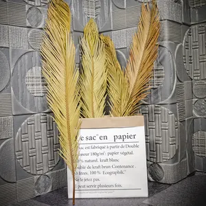 Bloemstuk Bruiloft Decoratieve Droog Cycas Revoluta Bewaard Tall Natuurlijke Blad Gedroogde Sago Palm Bladeren