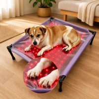 Tapis pour animaux de compagnie ZT 660nm&850nm, rectangle, thérapie par lumière rouge, lit pour chien, plastique imperméable avec 140 LED, utilisation toute saison