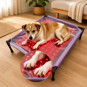 Tapis pour animaux de compagnie ZT 660nm&850nm, rectangle, thérapie par lumière rouge, lit pour chien, plastique imperméable avec 140 LED, utilisation toute saison - Product Image 1