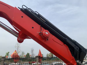 4ton 5ton 6.3ton 8ton 10ton 25ton קטן פרוס הרמת זרוע פענוח הידראולי פענוח זרוע מעמיס המנוף למשאית - Product Image 5