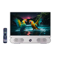 Téléviseur intelligent portable Google TV 24 pouces Full HD LED pour hôtel, Android, noir, batterie rechargeable