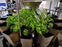 Comptage automatique et pesage des dosettes de détergent à lessive Machine d'emballage de film Pva soluble dans l'eau froide