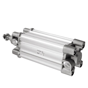   Cilindro Magnetico Regolabile Standard CP96SDB32 40 50 63 80 100 - Product Image 2