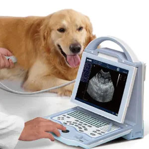 YSB5600V Ysenmed جهاز الموجات فوق الصوتية المحمول للحيوانات pet laptop clinical vet سعر