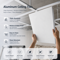 Plaques de plafond suspendu en aluminium pour la maison, panneaux de plâtre pour la décoration de restaurants, papier texturé français 600*600mm, moderne