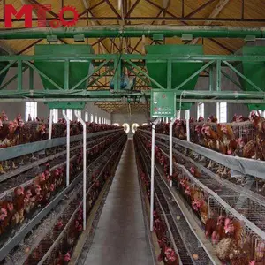 Jaula automática para cría de conejos, jaula para pollos de bebé, para poner huevos - Product Image 1