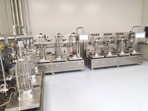 Laboratório biorreator preços pequeno automático vinho que faz a máquina pequena escala etanol produção planta BLBIO-GJ - Product Image 5