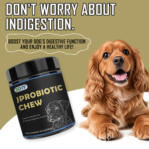 Suplemento de Probióticos para Cães em Forma de Guloseimas, Probióticos Macios com Enzimas Digestivas para Cães - Product Image 6