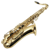 Wholesale/OEM/Factory Price Professional Performance of Tenor Saxophone in Brass , Wind Instruments for Adult
