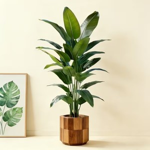 Un Gran Árbol de Plátano Artificial que Requiere Poco Mantenimiento, Hecho de Plástico, Apto para Uso en Interiores y Exteriores. - Product Image 1