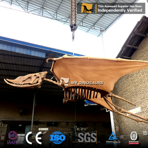 Mon Dino Décoration <span class=keywords><strong>De</strong></span> La <span class=keywords><strong>Maison</strong></span> Petite Taille Squelette <span class=keywords><strong>De</strong></span> Dinosaure Ptérosaure - Product Image 4
