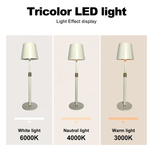 Lámpara de Mesa Decorativa Nórdica para Estudio, Dormitorio, Restaurante Moderno, LED de Lujo, Inalámbrica, Recargable por USB, Táctil - Product Image 4