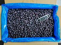 IQF Blueberry Beku Utuh Kualitas Liar Bersertifikat HALAL 10kg Kemasan Besar untuk Produksi Selai