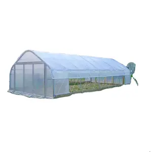 wholesale price large size Industrial Commercial greenhouse single span tunnel greenhouse