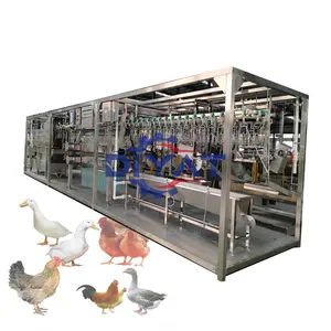 Large capacity chicken poultry slaughter Equipment and Process Line