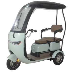 รถสามล้อคุณภาพสูง ดีไซน์ใหม่ ระยะทางไกล กำลังไฟ 1000 วัตต์ - Product Image 3