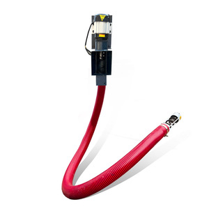 Machine à vide pour céréales électrique 48V 60V avec moteur en cuivre pour usage domestique et manutention de poudre de céréales en extérieur - Product Image 5