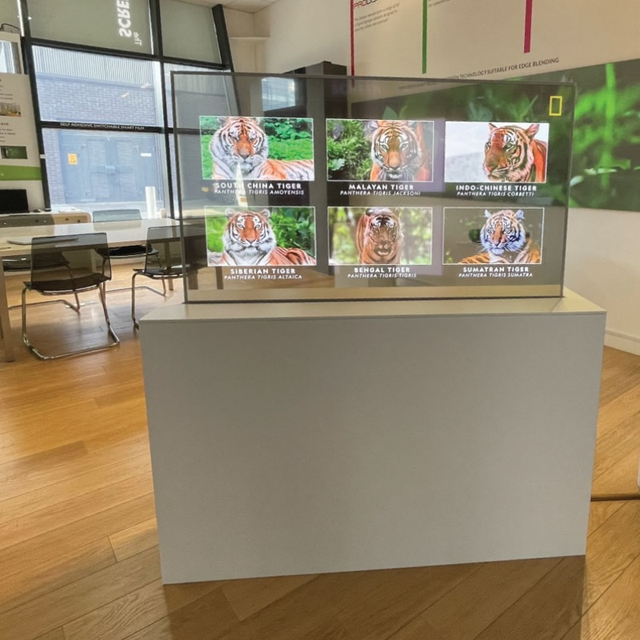 Custom Transparent Oled Display 1080P FHD AMOLED 55 Inch Transparent Oled Digital Signage Screen for museum Exhibition Hotel